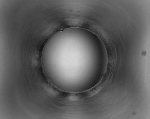 X0000101650416200807101236