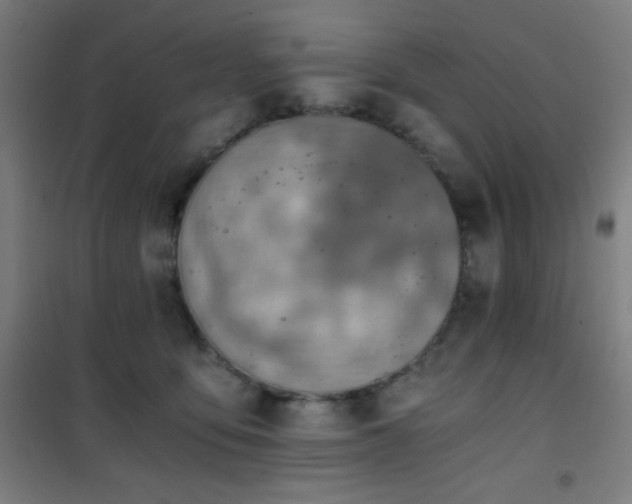 X0000101650419200807101236