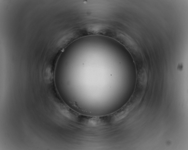 X0000101650420200807101236