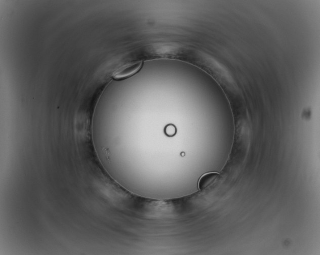 X0000101650421200807101236