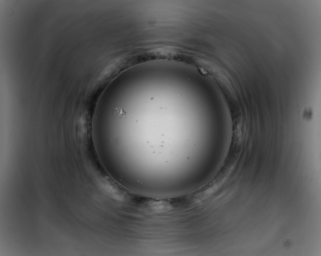 X0000101650424200807101236