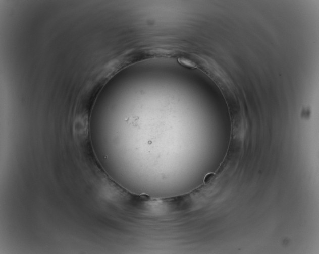 X0000101650425200807101236