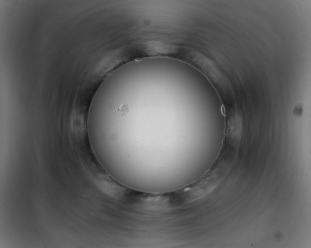 X0000101650426200807101236