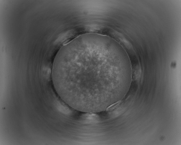 X0000101650427200807101236