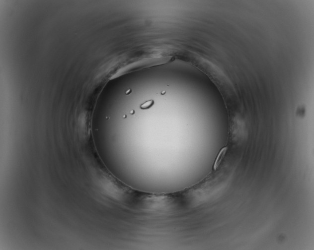 X0000101650428200807101236