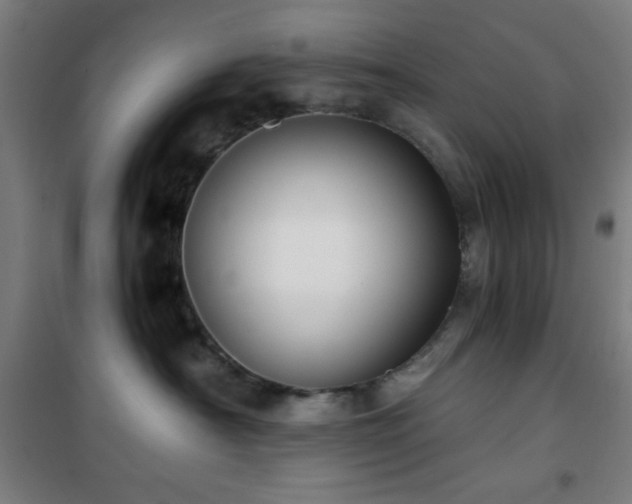 X0000101650430200807101236