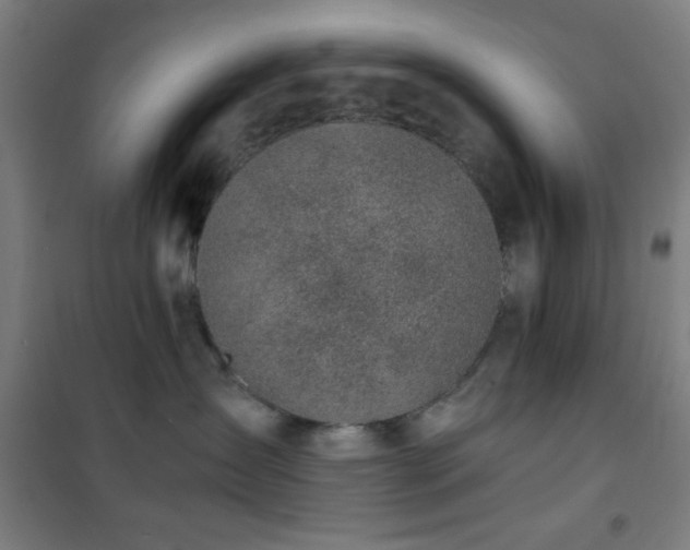 X0000101650431200807101236