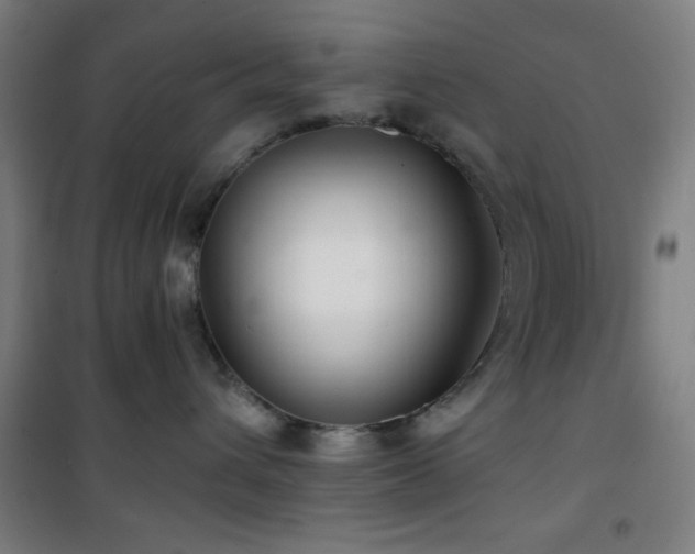 X0000101650432200807101236