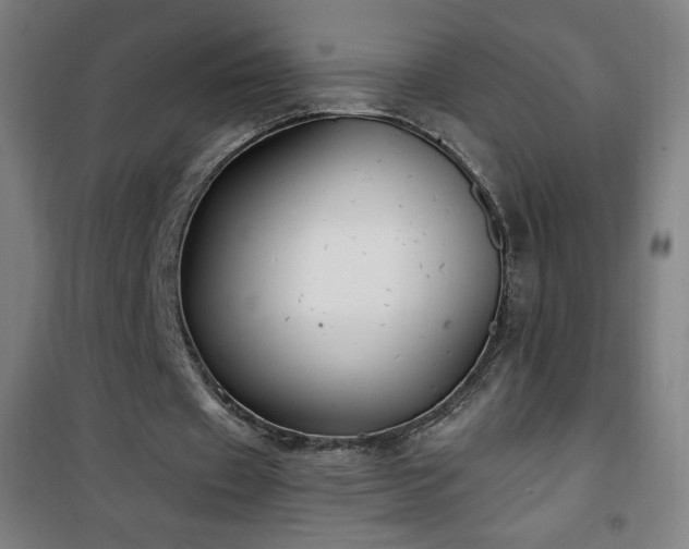 X0000101650433200807101235