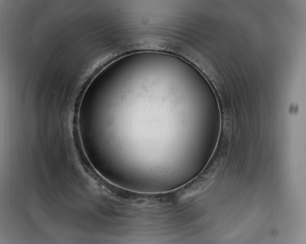 X0000101650434200807101235