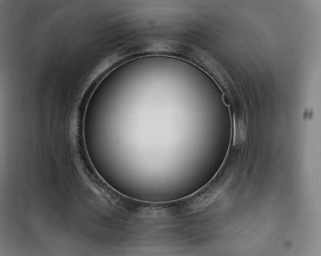 X0000101650435200807101235