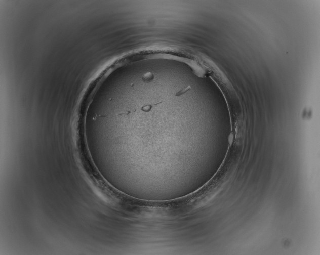 X0000101650436200807101235