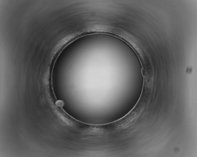 X0000101650437200807101235