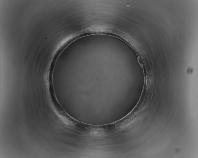 X0000101650438200807101235