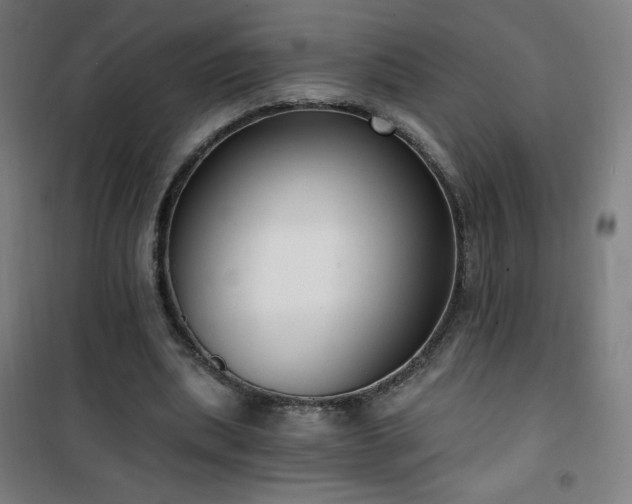 X0000101650439200807101235