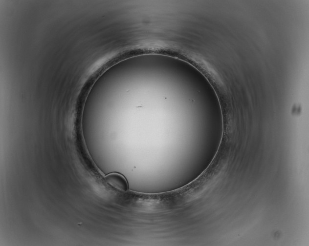 X0000101650440200807101235