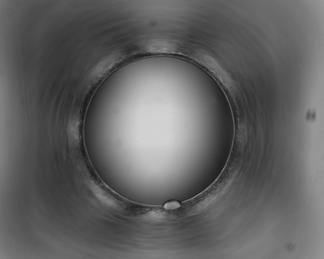 X0000101650441200807101235