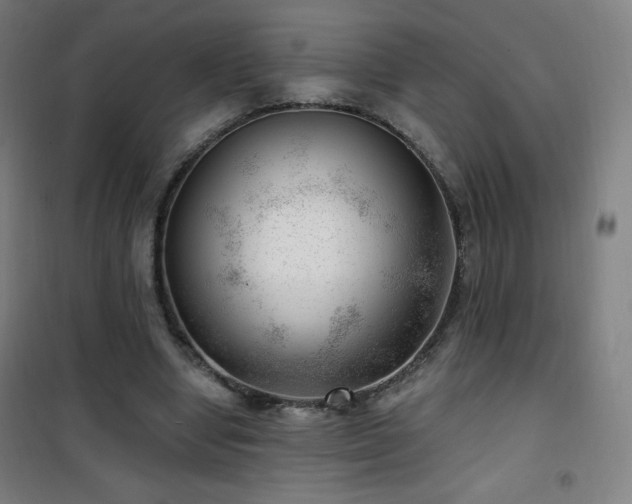 X0000101650442200807101235