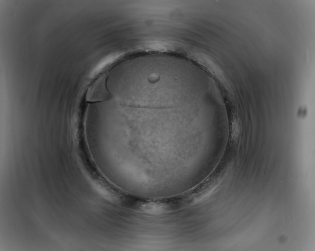 X0000101650444200807101235