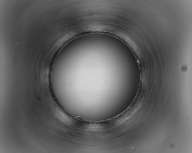 X0000101650445200807101235