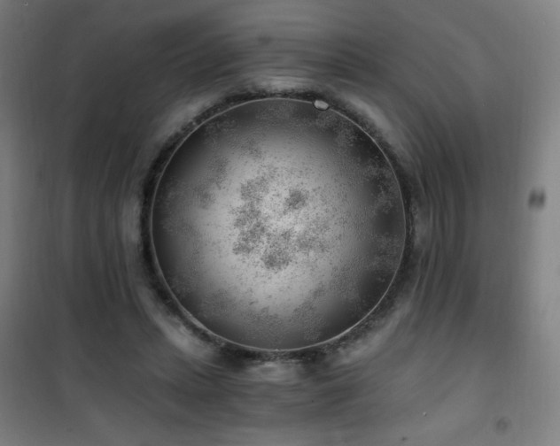 X0000101650447200807101235