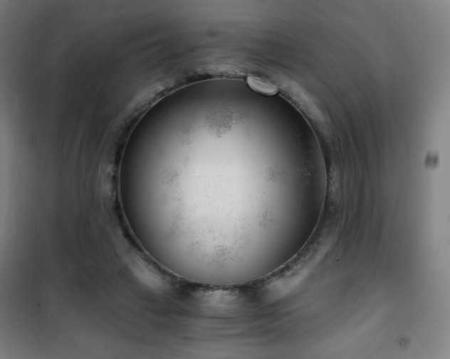 X0000101650449200807101235