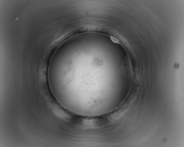 X0000101650450200807101235