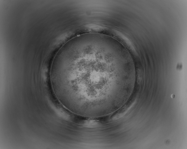 X0000101650451200807101235