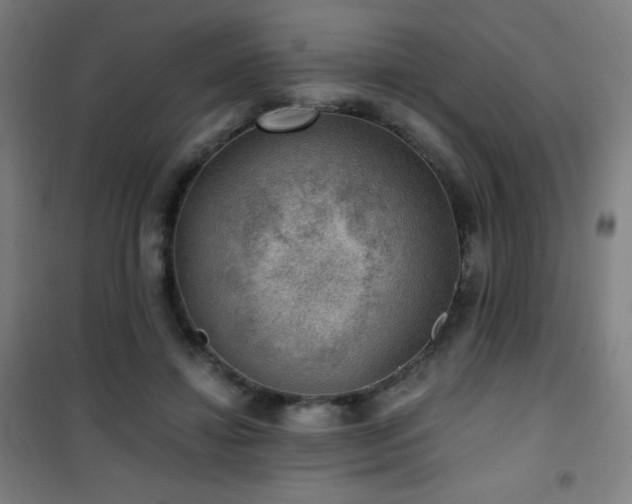 X0000101650452200807101235