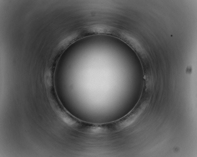 X0000101650453200807101235