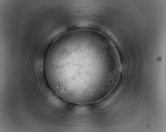 X0000101650454200807101235