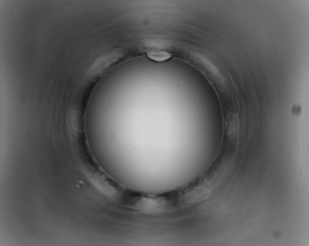 X0000101650455200807101235