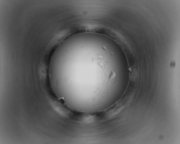 X0000101650456200807101235