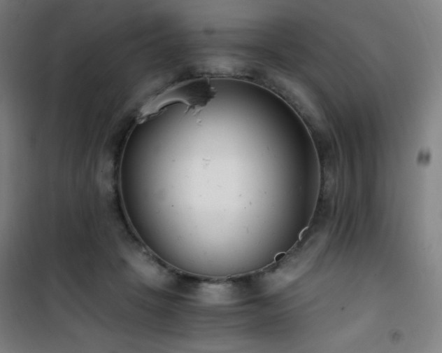 X0000101650457200807101235