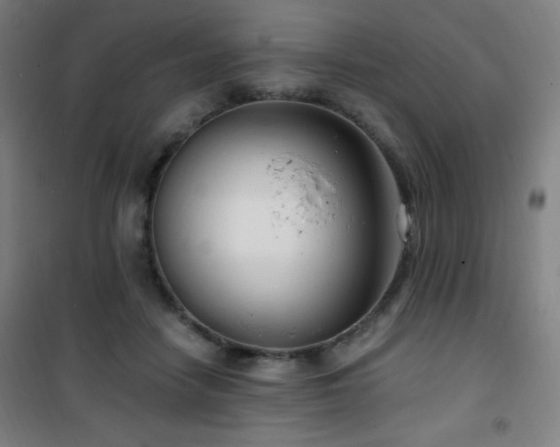 X0000101650458200807101235