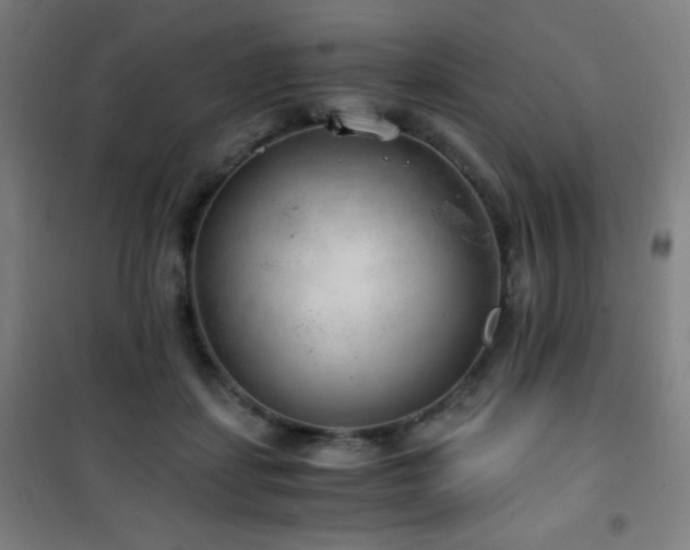 X0000101650459200807101235