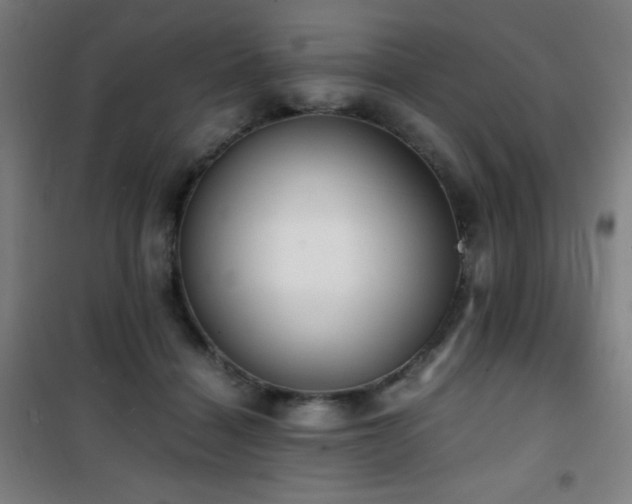 X0000101650460200807101235