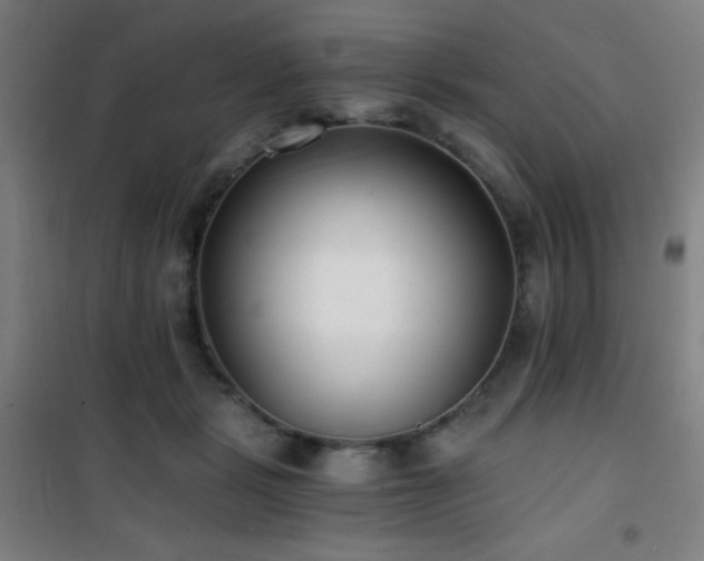 X0000101650461200807101235