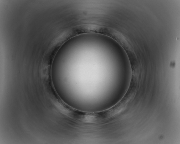 X0000101650462200807101235