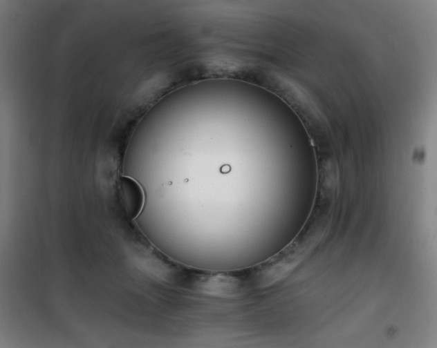 X0000101650463200807101235