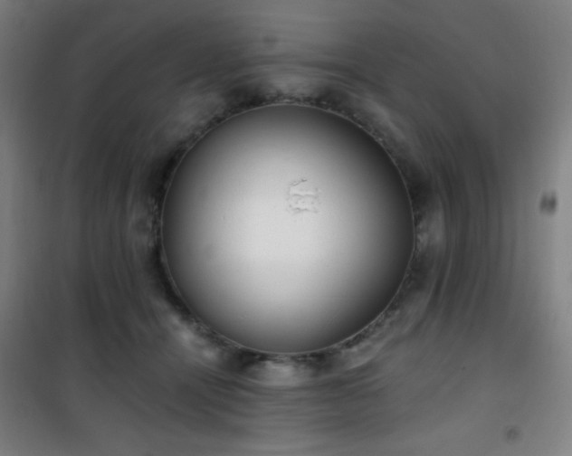 X0000101650464200807101235