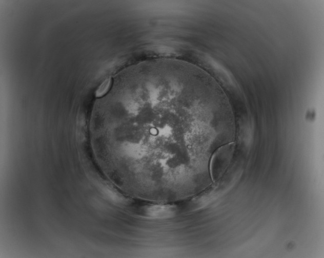 X0000101650465200807101235