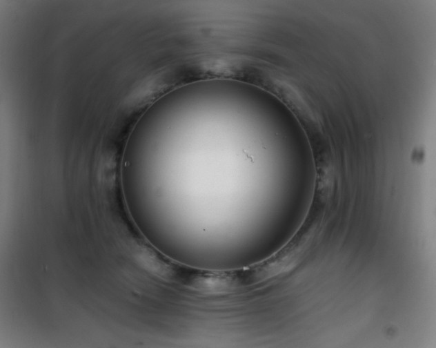 X0000101650466200807101235