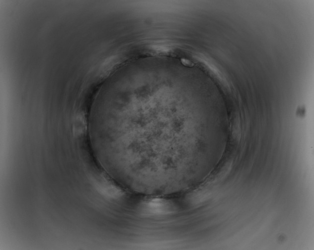 X0000101650467200807101235