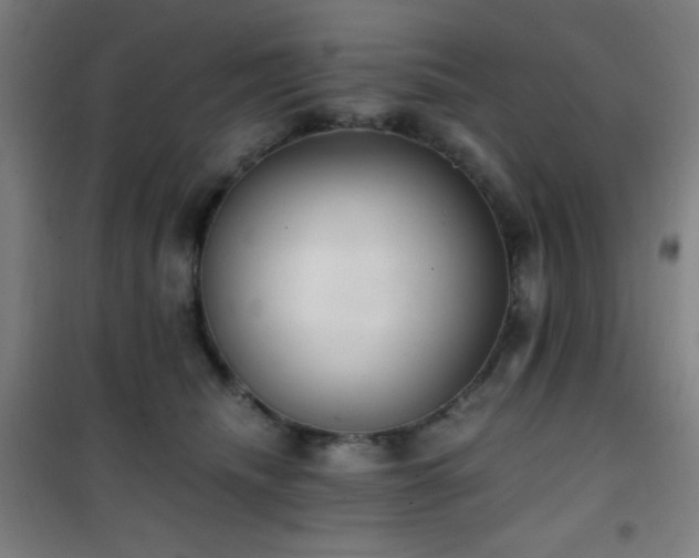 X0000101650468200807101235