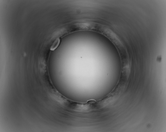 X0000101650469200807101235