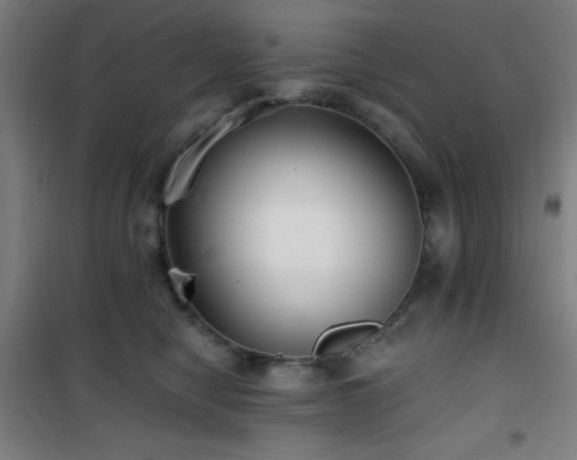 X0000101650470200807101235