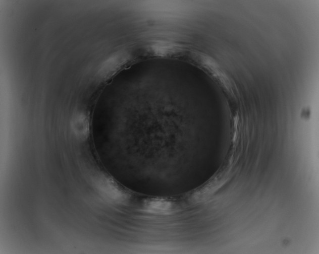 X0000101650471200807101235