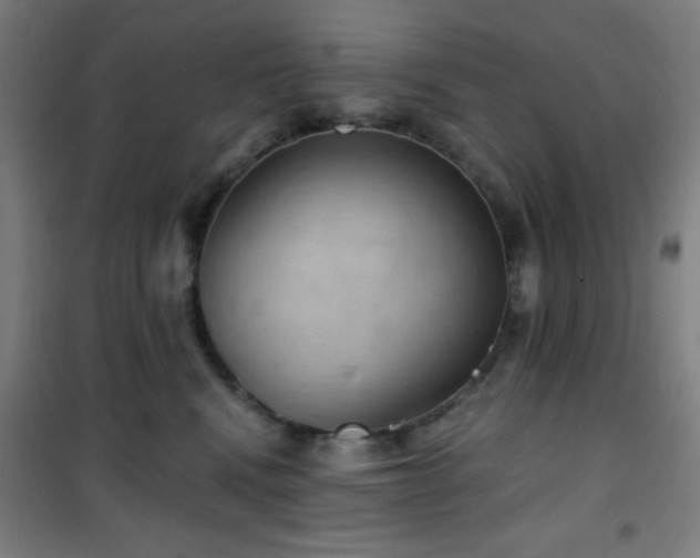 X0000101650472200807101235