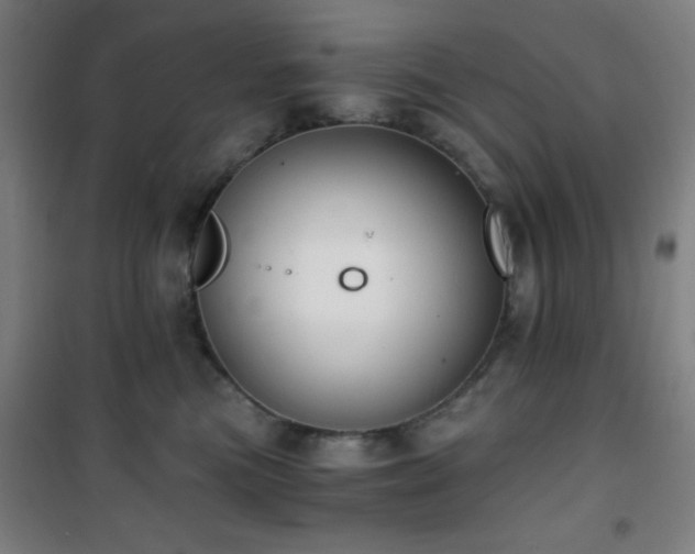 X0000101650473200807101235